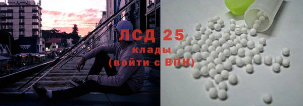 PSILOCYBIN Костерёво