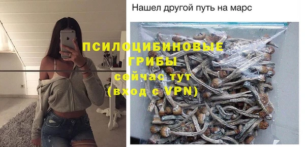 тгк Коряжма