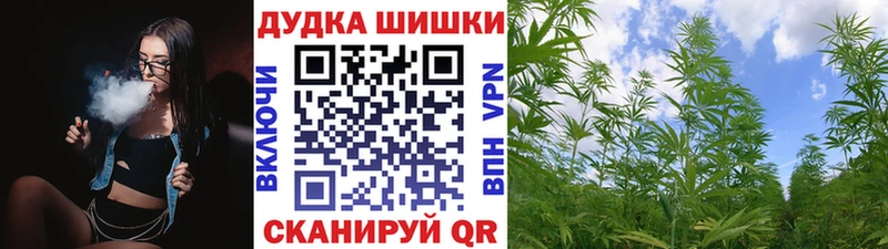 Купить где  Дубовка  Бошки марихуана Ganja 